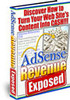 Thumbnail Adsense Revenue Exposed