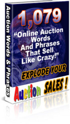 Product picture 1079 Online Auction Words with MRR